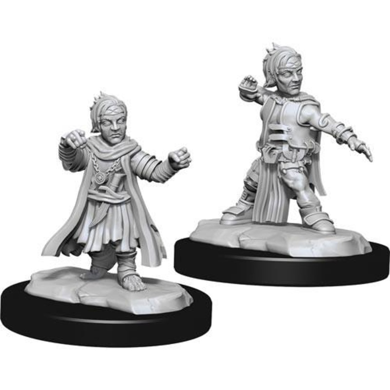 Pathfinder Deep Cuts Unpainted Miniatures: Male Halfling Monk