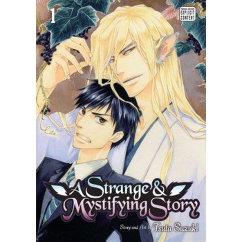 A Strange and Mystifying Story Volume 1