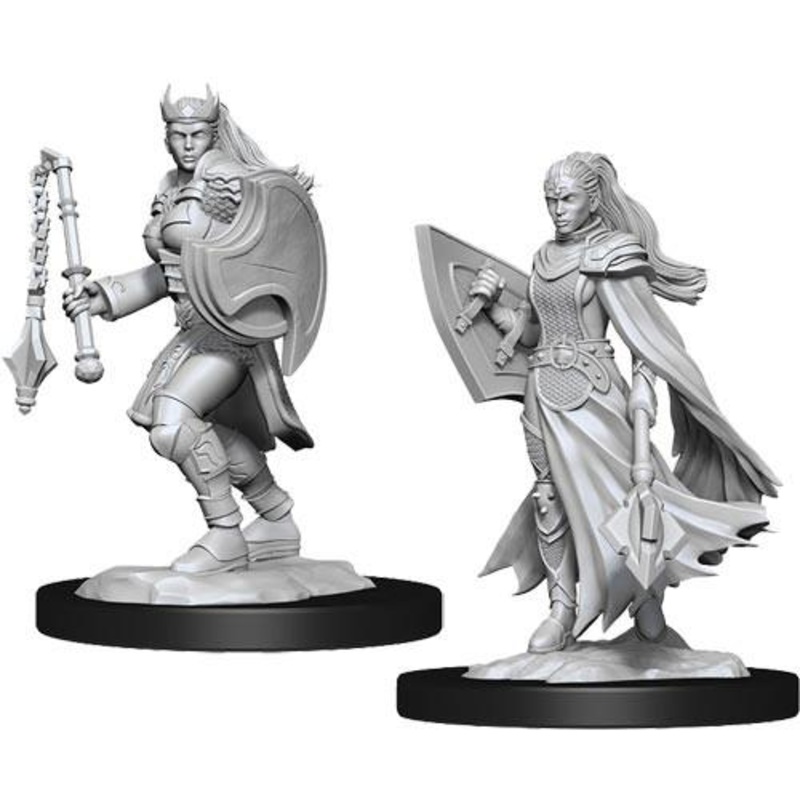 Nolzur's Marvelous Miniatures: Kalashtar Cleric